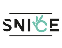 Snice Store